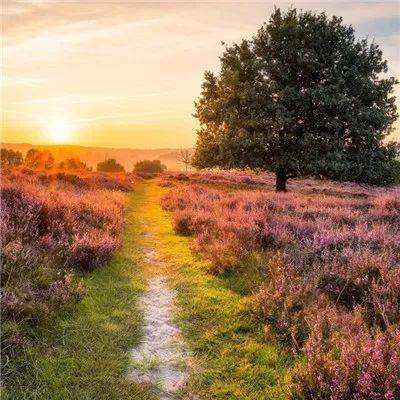 可以上下分捕鱼app截图